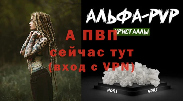 шишки Наволоки