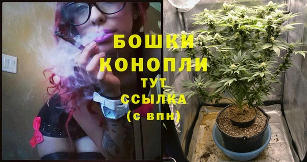 шишки Наволоки