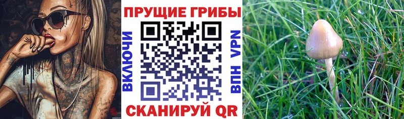 Псилоцибиновые грибы мухоморы  что такое наркотик  Ступино 