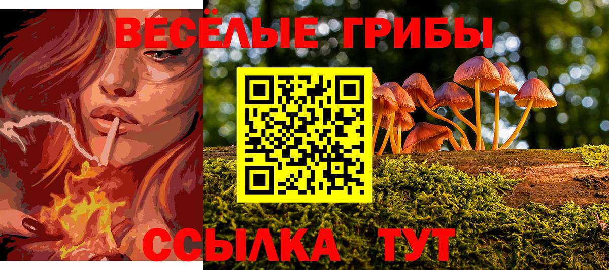 Псилоцибиновые грибы мицелий  Вход с VPN  Ступино 