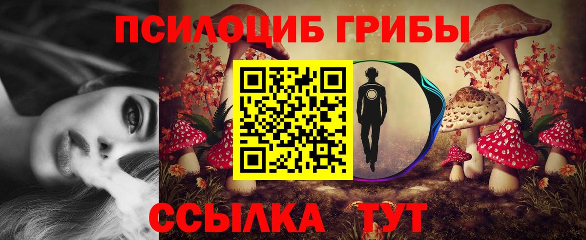 Галлюциногенные грибы прущие грибы Ступино